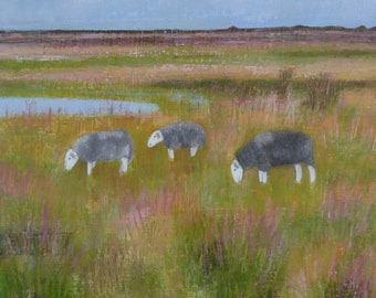 The Three Herdwicks