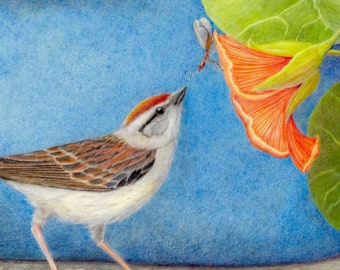 Bird Art Print. Birds of Virtue. Whimsical Bird Art Print. Chipping Sparrow. 8 x 10 inches