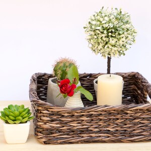 May include: A brown wicker tray with a white candle, a small potted succulent, a small potted cactus, and a small potted red rose.
