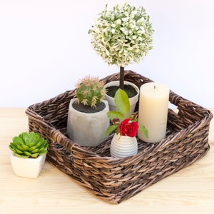 May include: A brown wicker tray with a white candle, a small potted succulent, a small potted cactus, a small potted rose, and a small potted topiary tree.