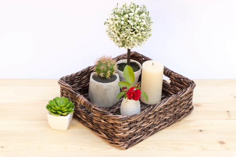 May include: A brown wicker tray with a white candle, a small potted succulent, a small potted cactus, a small potted rose, and a small potted topiary tree.