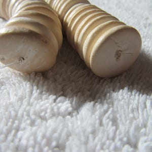 May include: Two curved, off-white cylindrical objects with a ribbed, segmented texture. Each piece features a flat, circular end with a small, centered hole. A thin, clear filament is visible protruding from the hole of the left-most object.