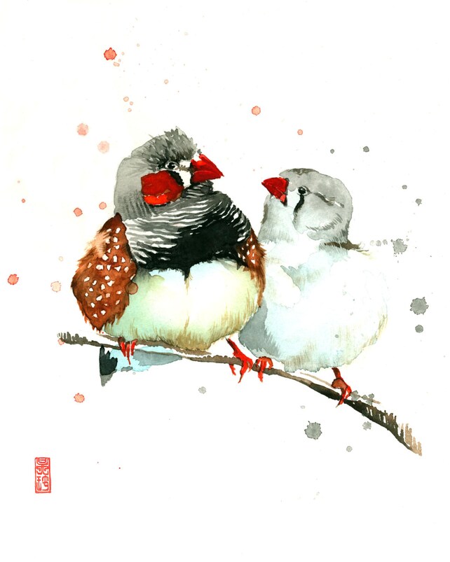 Zebra Finches Watercolor Painting Fine Art Giclee Print / Bird Etsy