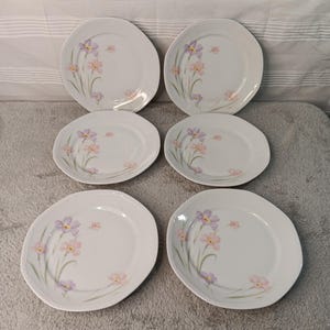 6 Vintage Mitterteich Bavaria 7 1/2&quot; Porcelain Salad Plates Pink Purple Flowers