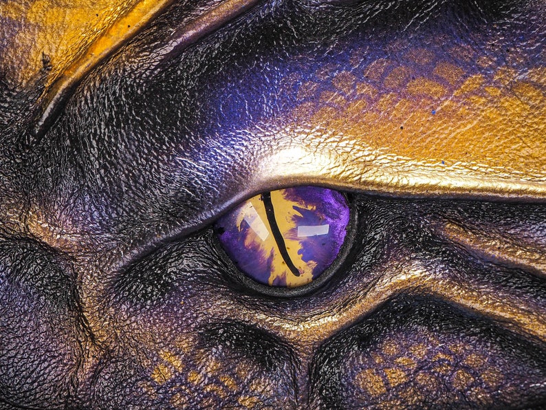 May include: Close-up of a dragon's eye with a purple and gold iris. The eye is set in a textured, leathery surface.