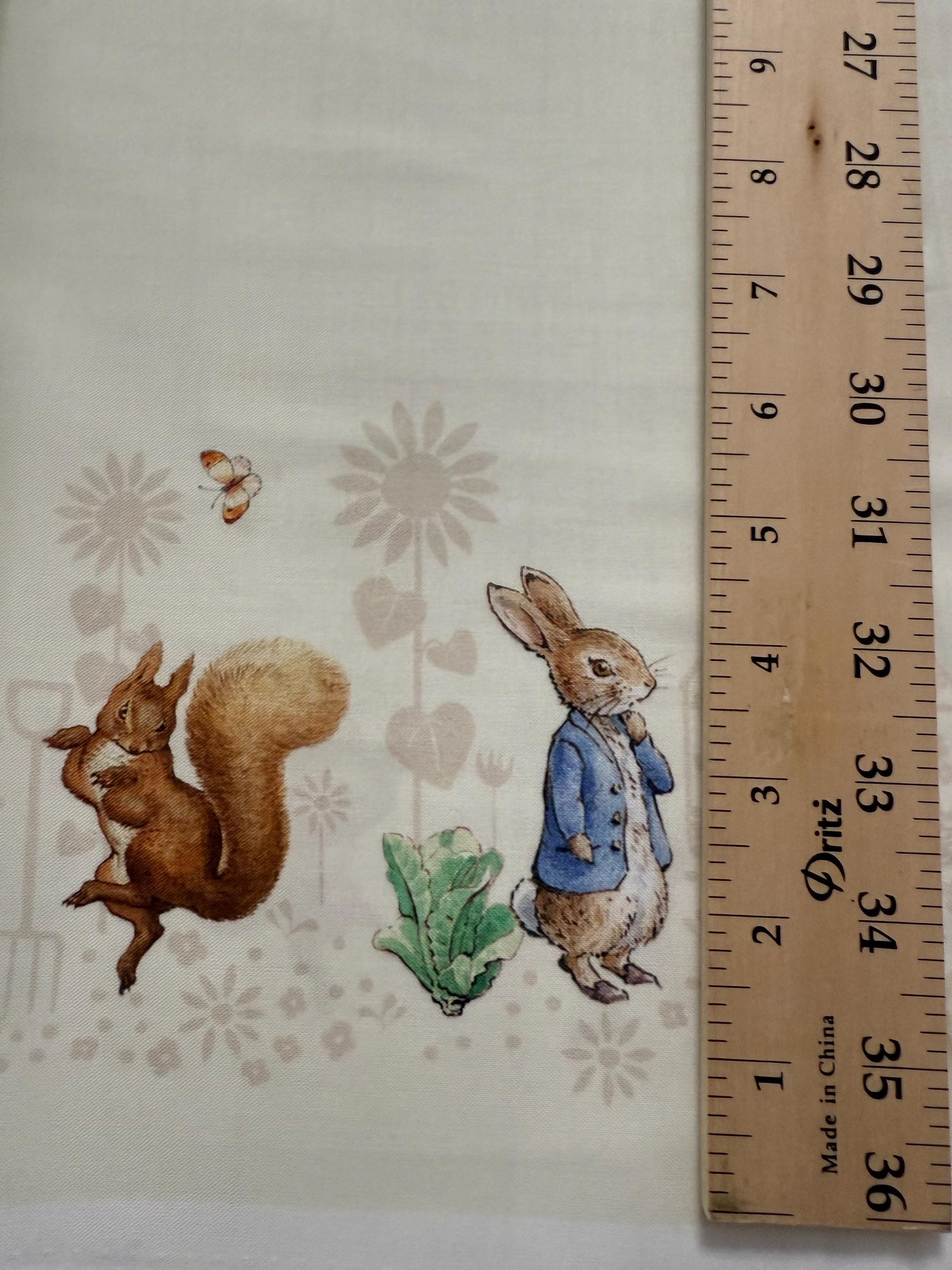 Peter Rabbit and Friends - Characters Double Border on Cloud Background ...