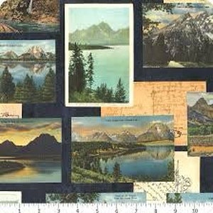 Plein air - Carte postale de montagne sur fond bleu ciel nocturne par Cathe Holden's pour Moda Fabrics/Coton/vendue par mètre et demi
