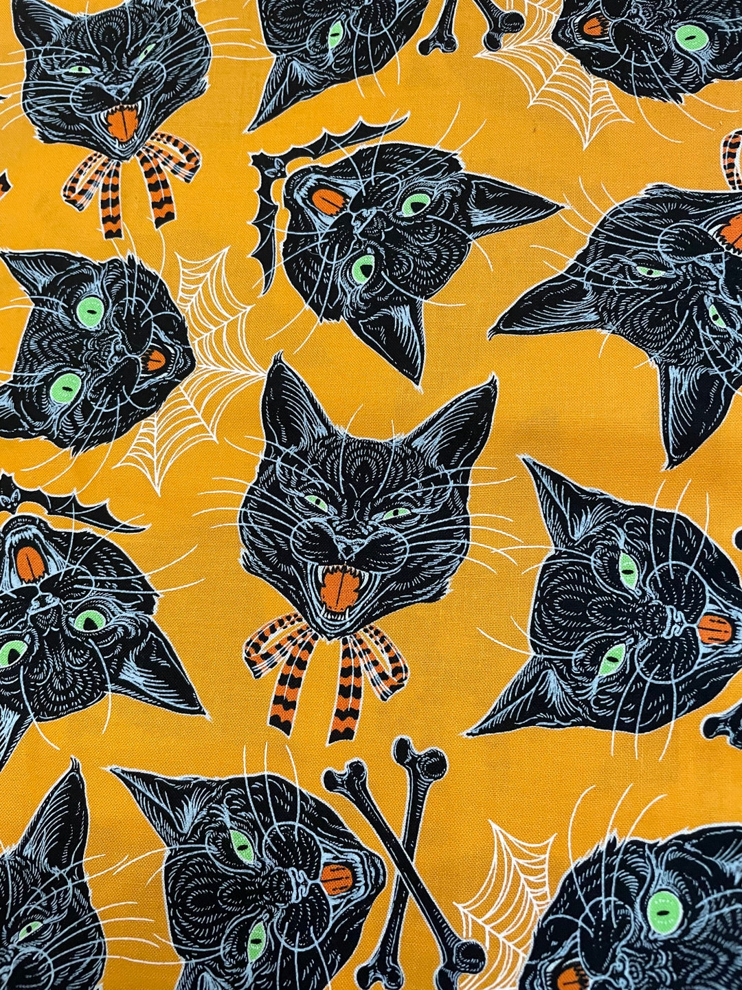 scaredy-cat-by-rachel-hauer-for-free-spirits-on-an-orange-background