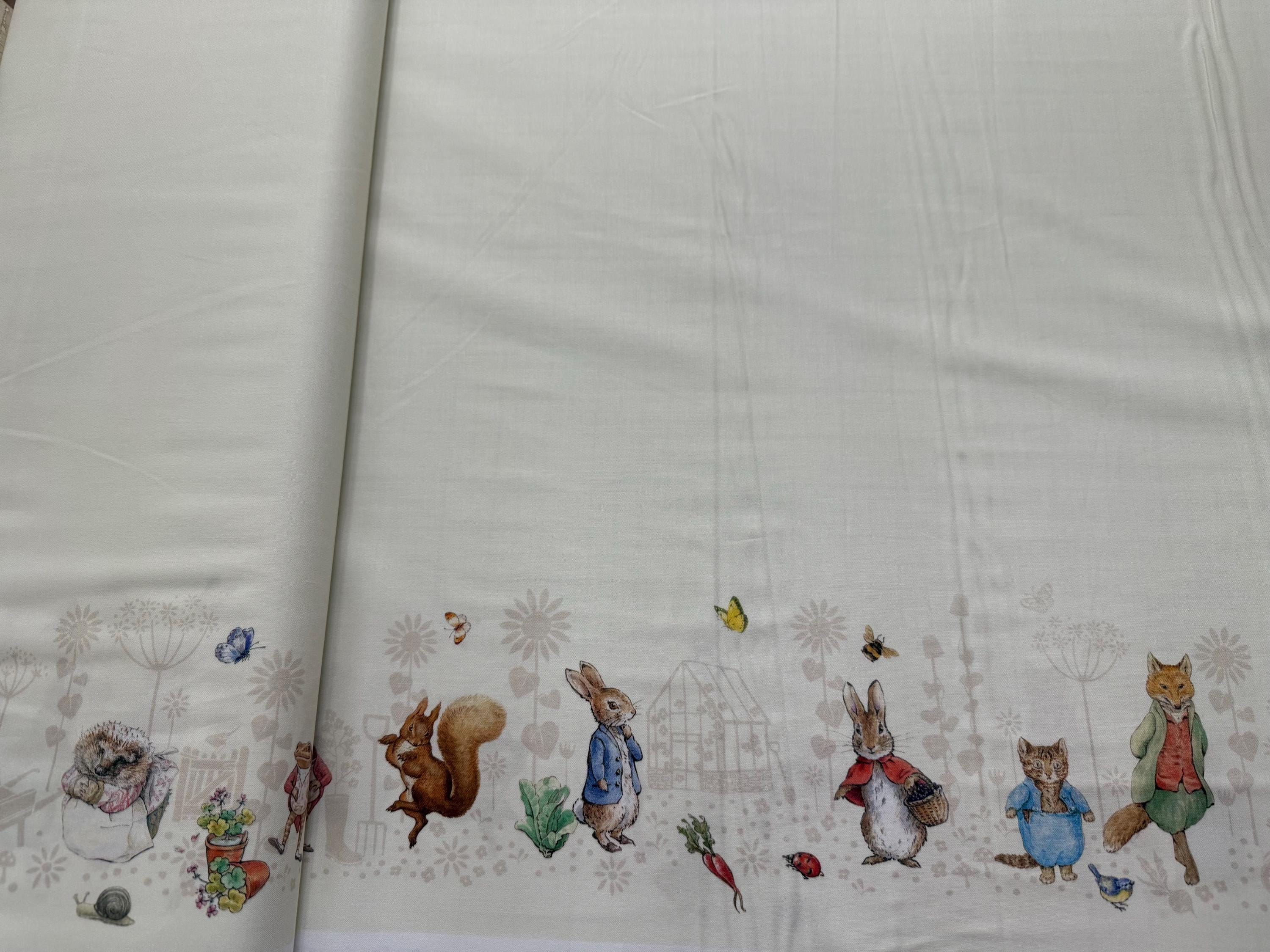 Peter Rabbit and Friends - Characters Double Border on Cloud Background ...