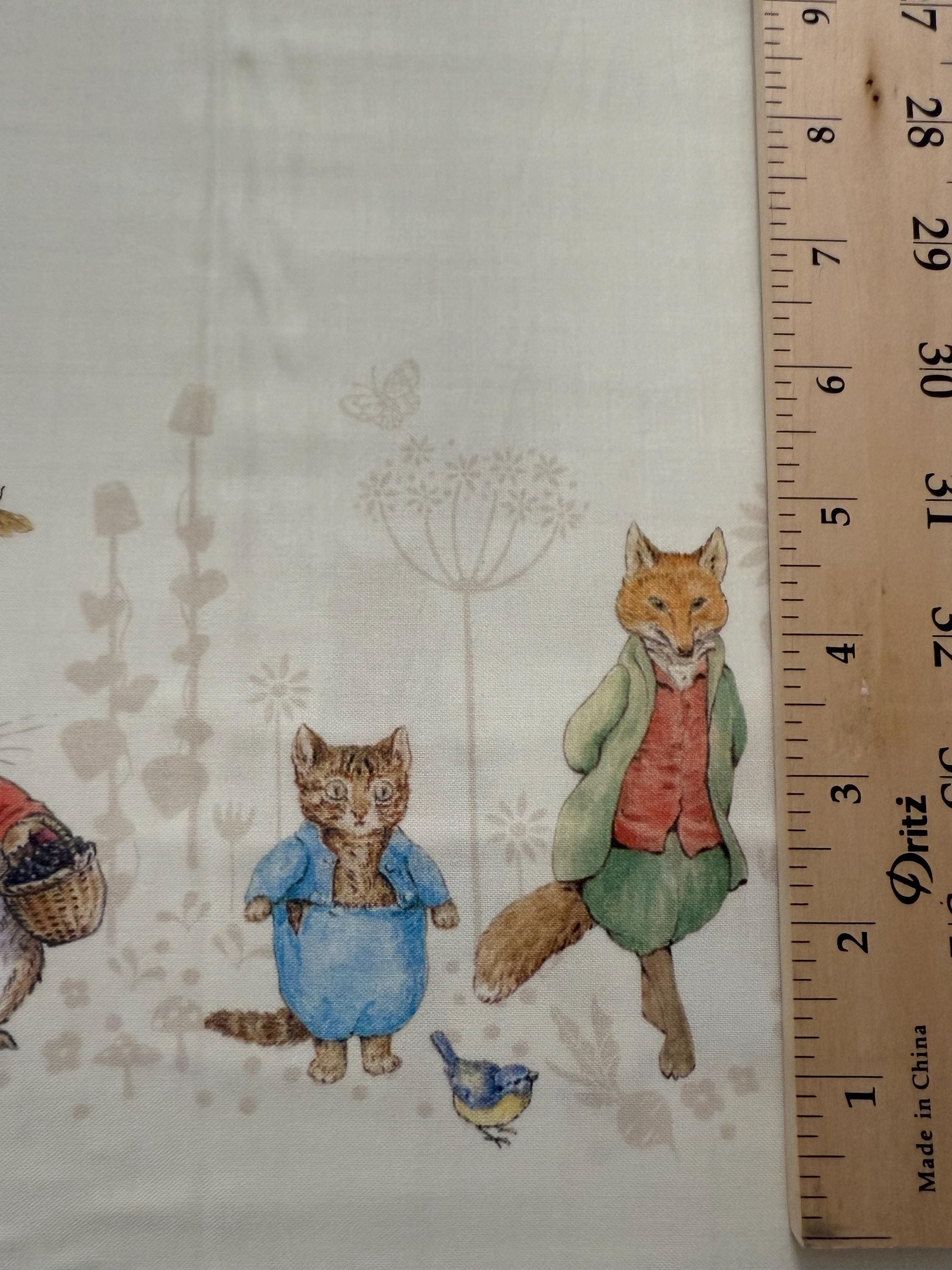 Peter Rabbit and Friends - Characters Double Border on Cloud Background ...