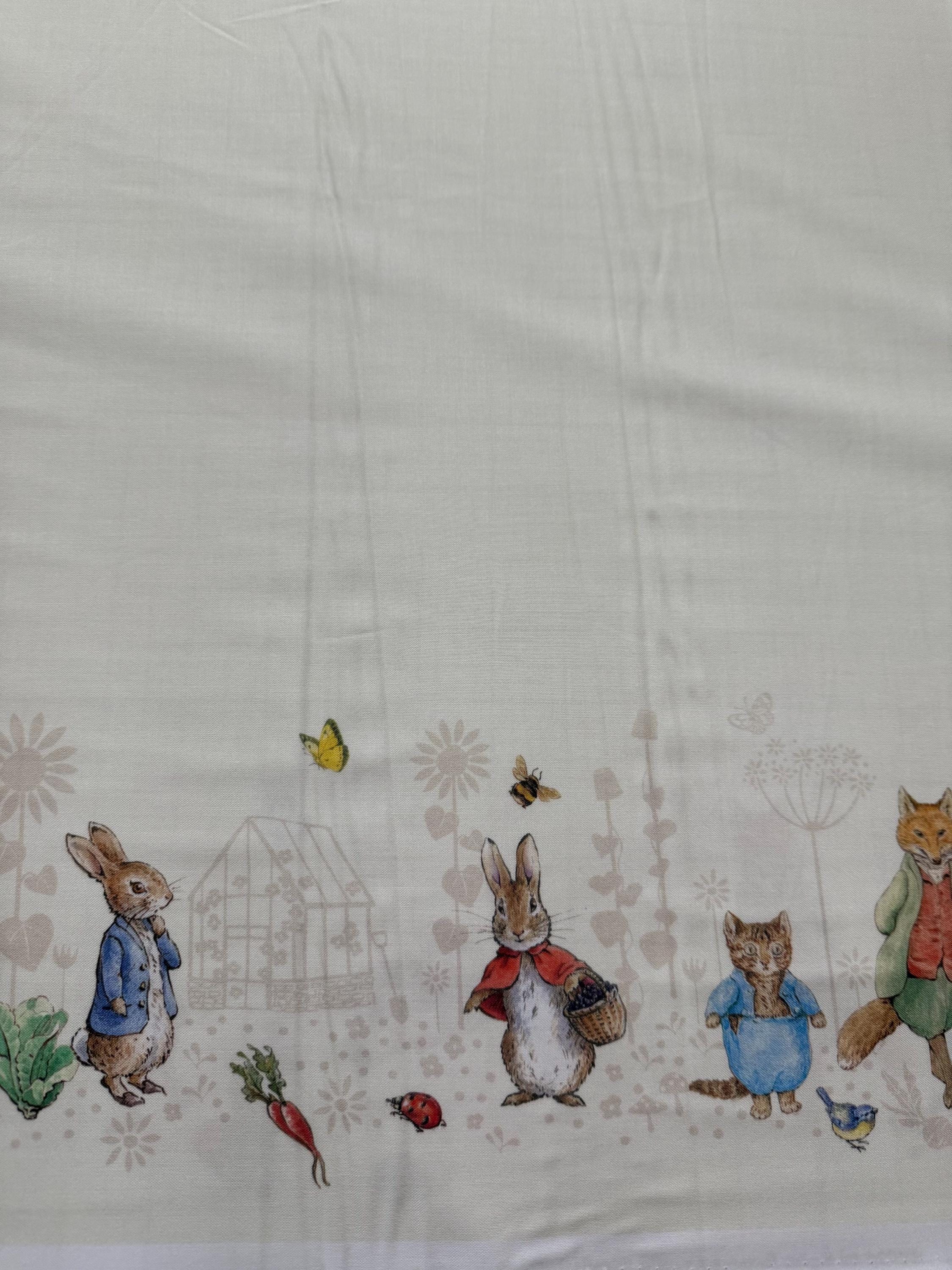 Peter Rabbit and Friends - Characters Double Border on Cloud Background ...