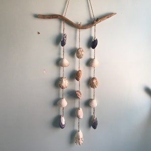 Seashell Mobile S