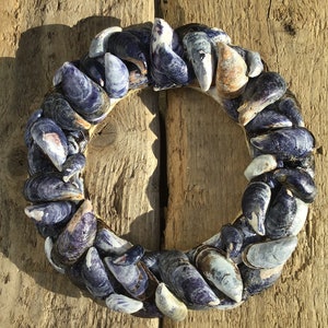 Peut inclure: Une couronne faite de coquillages bleus et blancs. La couronne est circulaire et est faite de nombreuses coquilles individuelles.