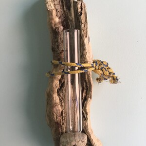 Driftwood Bud Vase image 4