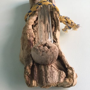 Driftwood Bud Vase image 9