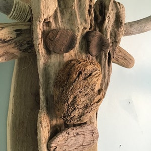 May include: A rustic wall art piece crafted from driftwood, featuring a face-like design. The artwork incorporates various wood pieces and small stones to create facial features. The color palette is primarily natural wood tones, with some rope accents.