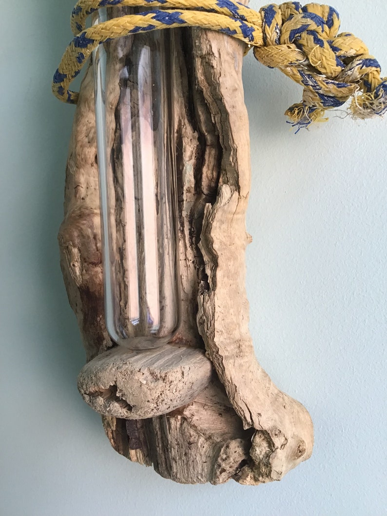 Driftwood Bud Vase image 7