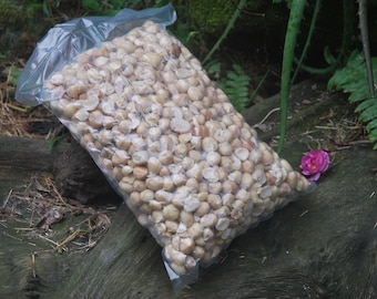 5 LB Unsalted Organic Macadamia Baking Nuts