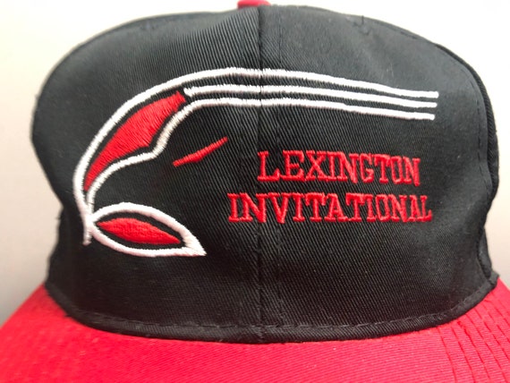 NEW 90's Lexington Icehawks baseball cap snapback… - image 2