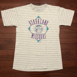 Medium 90&#39;s Ozarkland Missouri men&#39;s T shirt gray white striped purple blue Preserve Protect Premier Sportswear vintage 1990&#39;s E