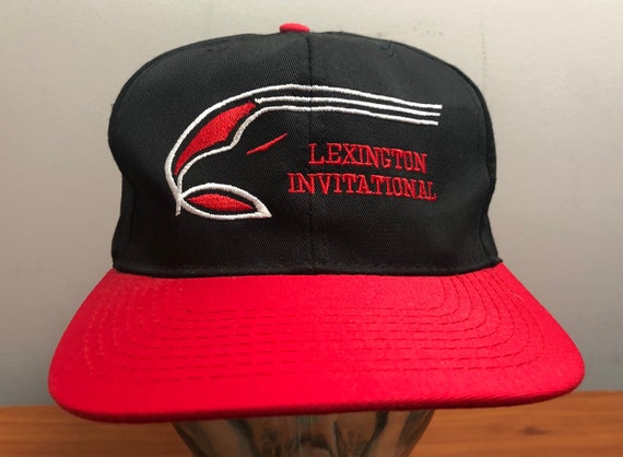 NEW 90's Lexington Icehawks baseball cap snapback… - image 1