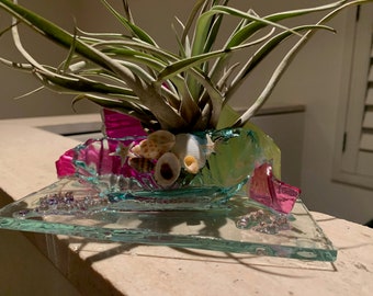 Blown Glass Air Plant Holder