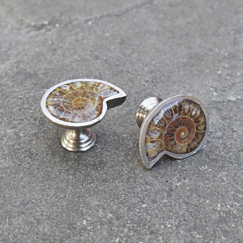 Ammonite Fossil drawer knobs. Unique silver kitchen Etsy