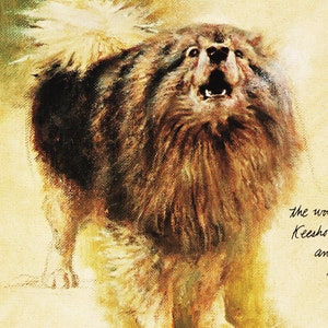 Dog Illustration of Vintage Dog Print for Canine Portrait &quot;Keeshoud&quot; Working Dog Art by Rien Poortvliet