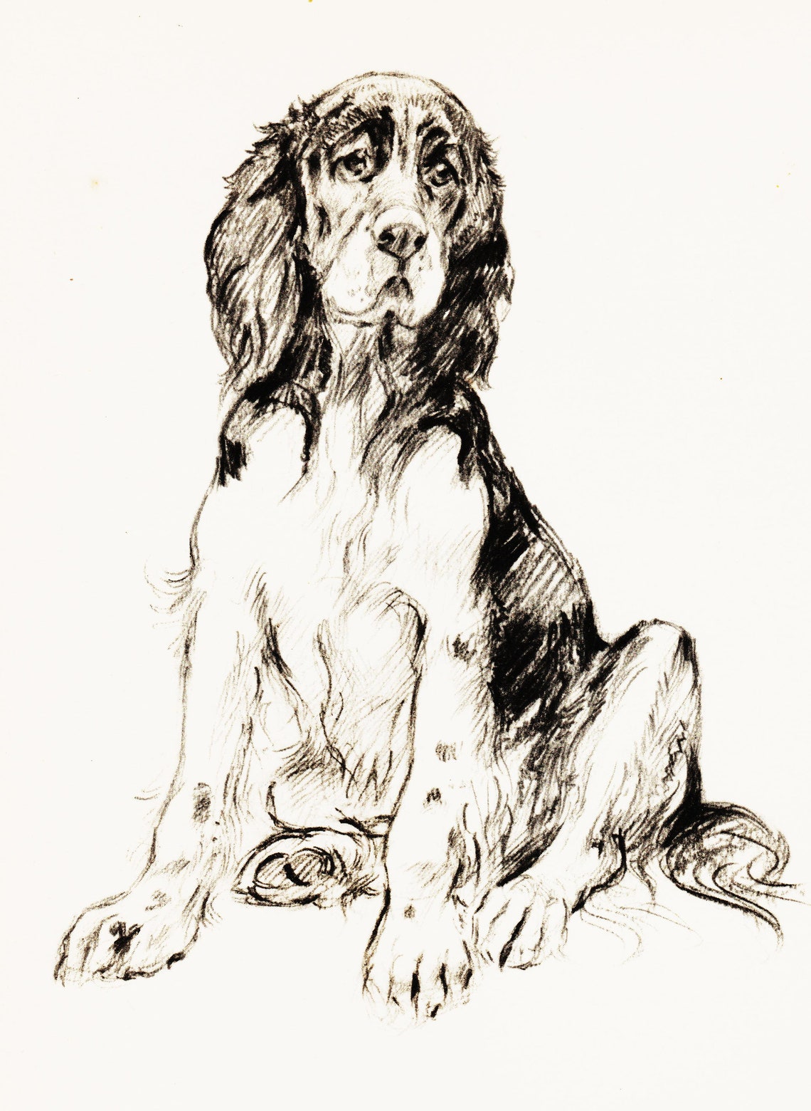 Vintage Dog Art Illustration Black and White Dog Drawing Etsy