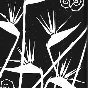 Tropical Plant Art Flower Drawing Art Deco Image &quot;Bird of Paradise&quot; Exotic Plant Don Blanding Art (DG)