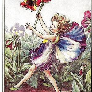 Pansy Fairy Illustration Fairy Artwork of Flower Fairy Print by Cicely Mary Barker (150)