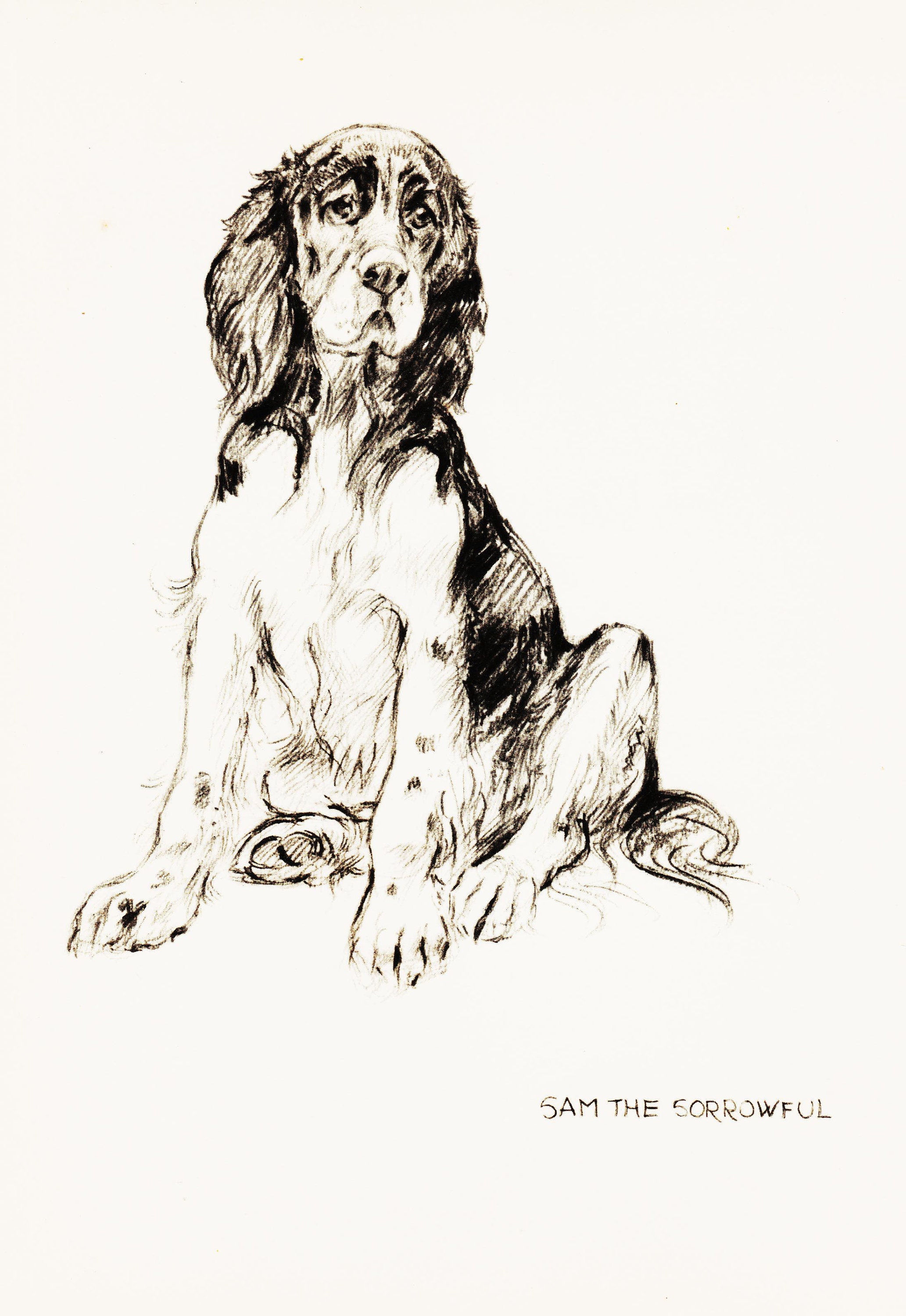 Vintage Dog Art Illustration Black and White Dog Drawing Etsy