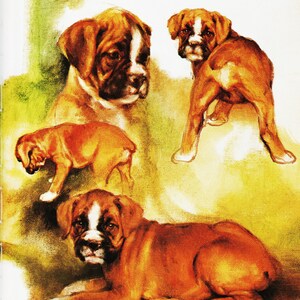 Animal Illustration for Vintage Dog Artwork, Dog Portrait of &quot;Boxer Puppies&quot; by Rien Poortvliet