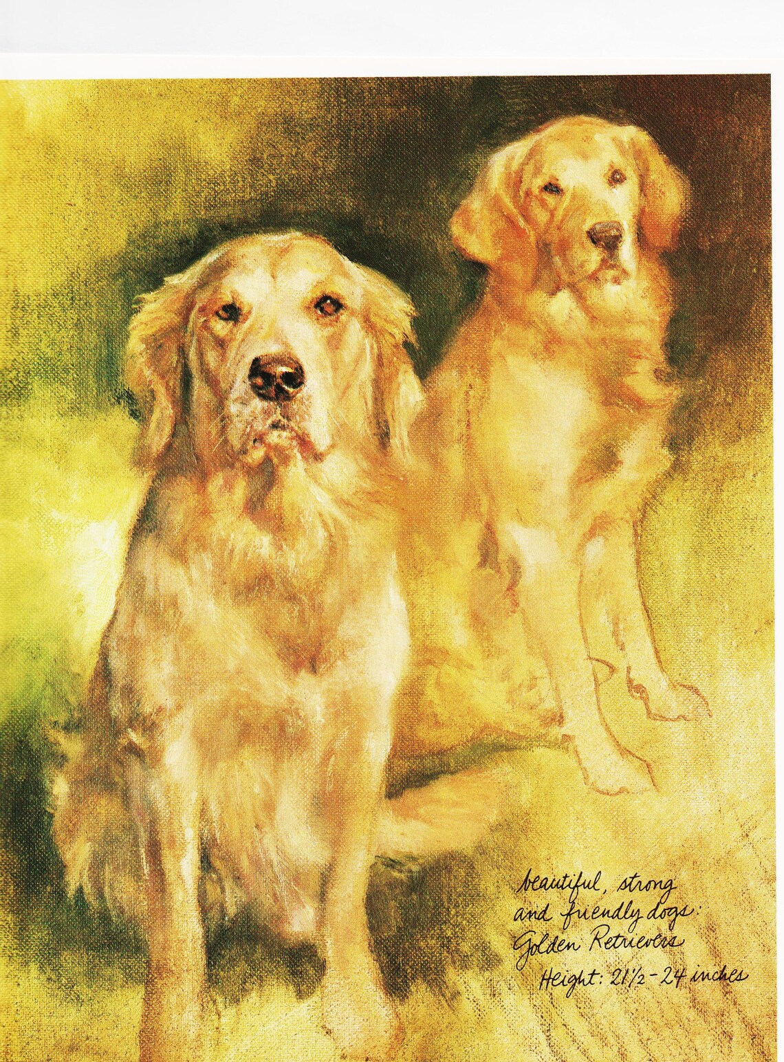 Dog Art Print Vintage Dog Wall Art for Canine Wall Decor Etsy