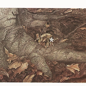 Wyeth Landscape Andrew Wyeth Print Farm Scene &quot;Spring Beauty&quot; (12.5&quot;x16.5&quot;) Pennsylvania Art for Farmhouse Decor (40)