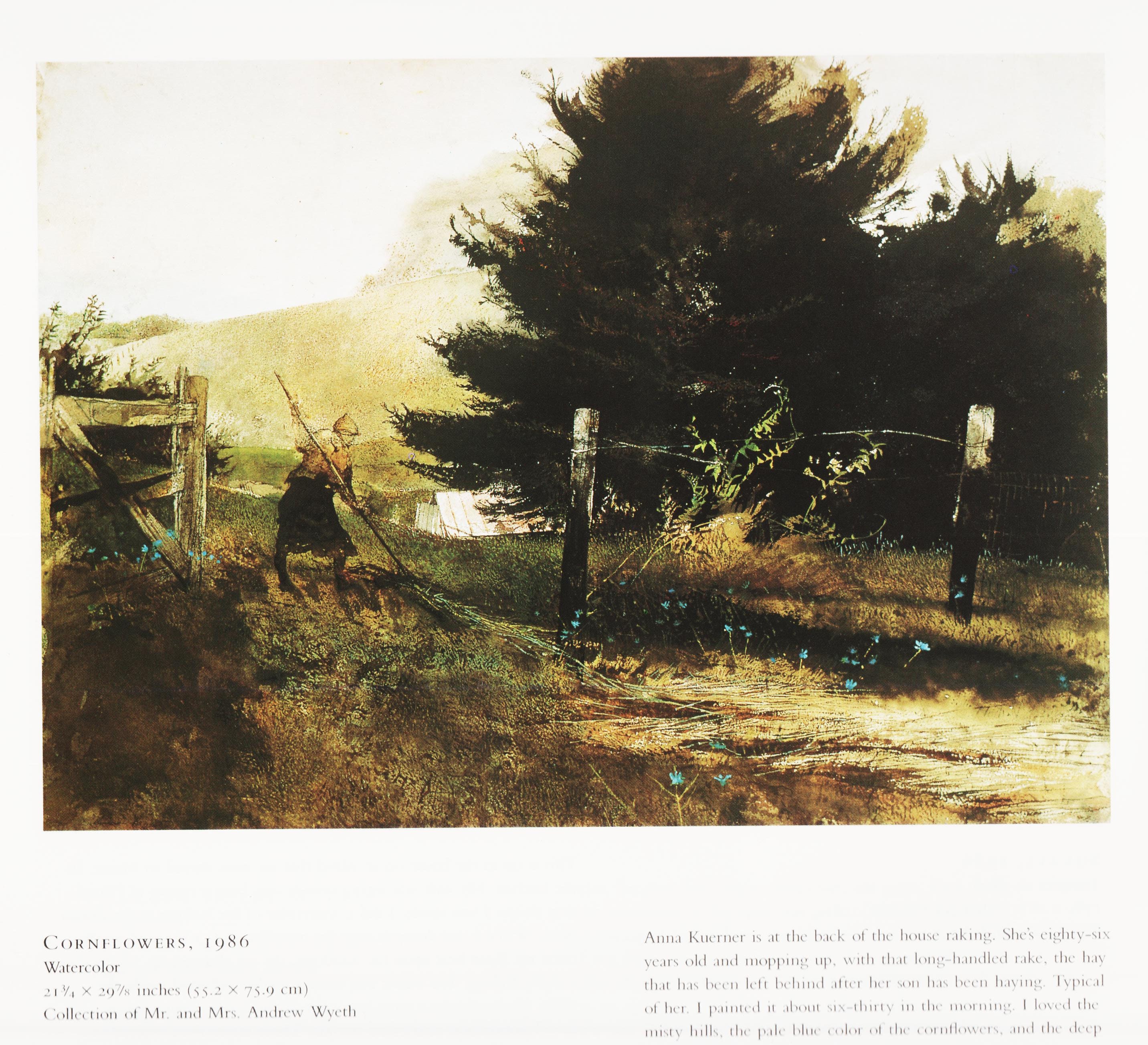 The Landscape of Andrew Wyeth 英語版　jc1 The Landscape of Andrew Wyeth 英語版 jc1 Andrew Wyeth Spring