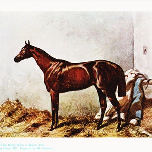 Race Horse Portrait Vintage Horse Art Equestrian Artwork &quot;Hermit&quot; by Harry Hall Old English Wall Decor Horse Racing