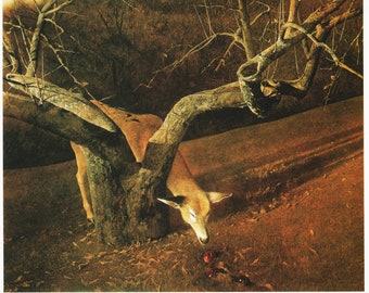 Original Vintage Andrew Wyeth “JACKLIGHT” - 1982 Hand Signed