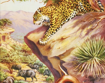 Animal Illustration Wildlife Wall Art for Animal Lover Gift "Jaguar" Wild Animal Print by Walter Weber