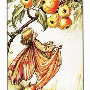 Girls Room Decor Fairy Picture for Fantasy Wall Art &quot;Crab Apple Fairy&quot; Vintage Fairy Print by Cicely Barker (51)