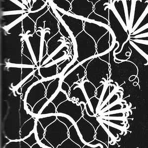 Vintage Drawing Tropical Plant Print Exotic Plant Art &quot;Stephenotis&quot; Art Deco Image by Don Blanding