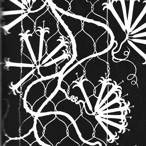 Vintage Drawing Tropical Plant Print Exotic Plant Art "Stephenotis" Art Deco Image by Don Blanding