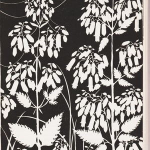 Don Blanding Art Deco Print: Tropical Plants Lithograph, 1945