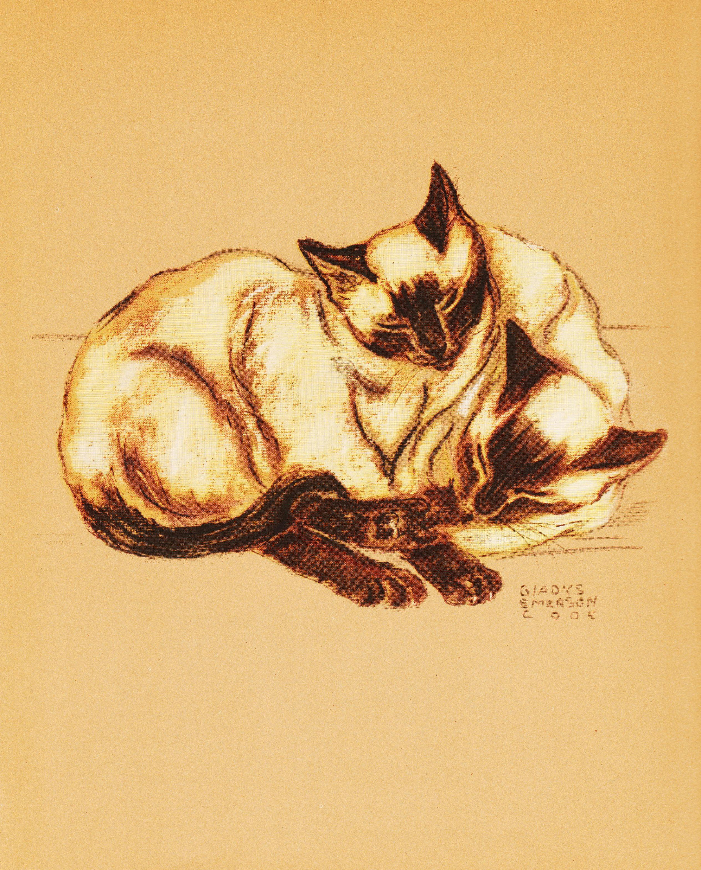 Vintage Cat Art Print of Siamese Cats for Cat Nursery Decor Cat Drawing for...