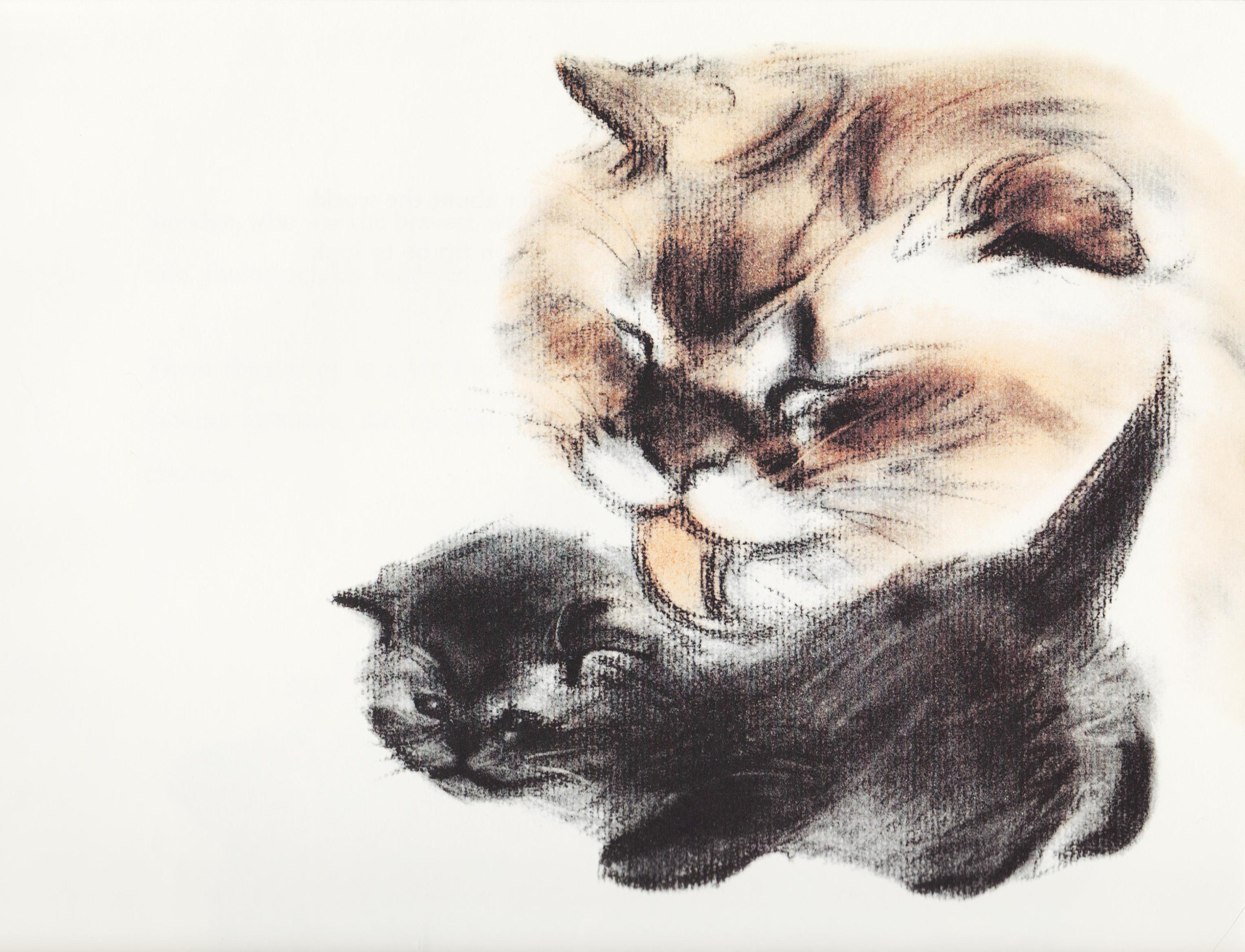 Cat Illustration Cat Wall Hanging for Crazy Cat Lady - Etsy Finland