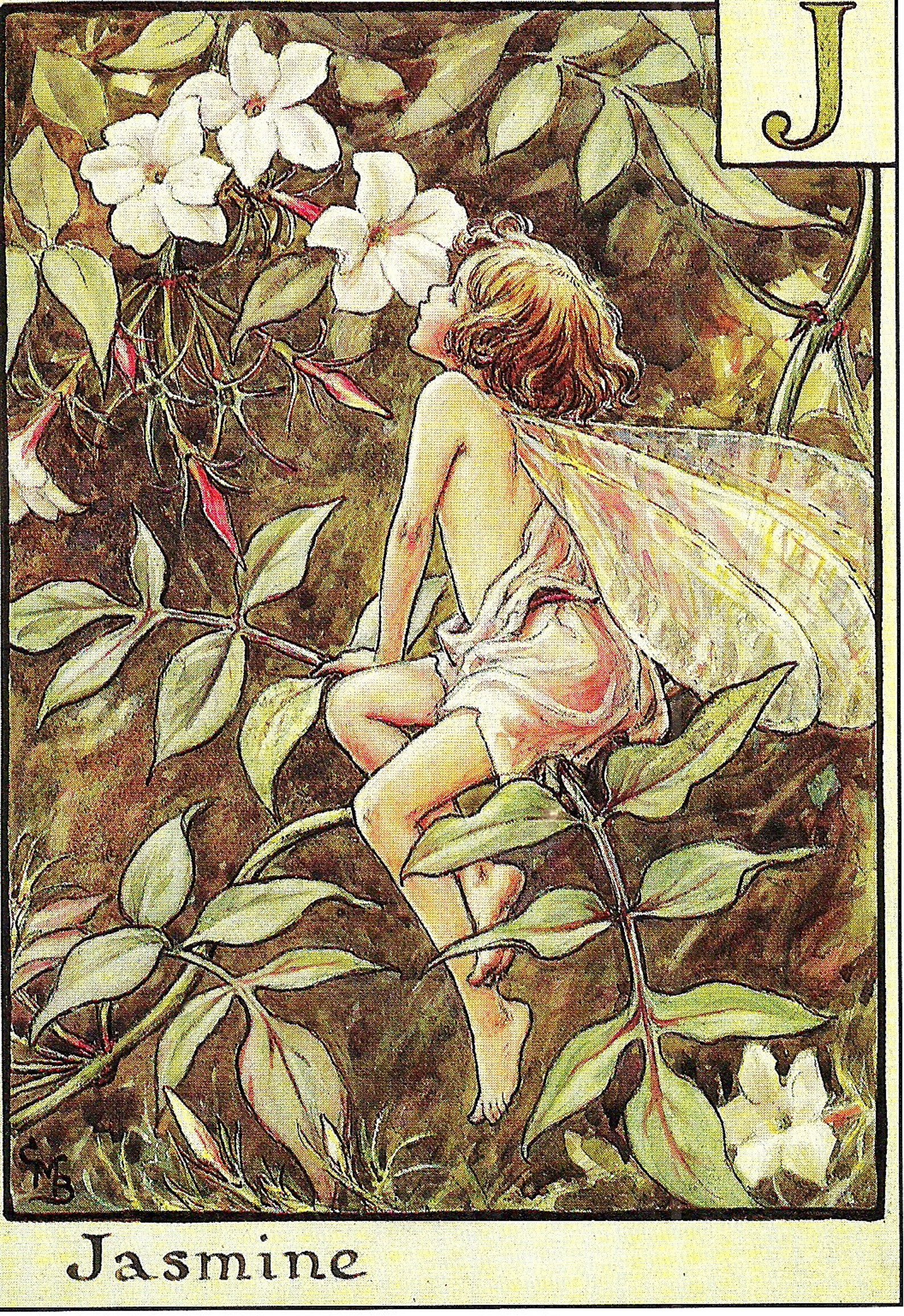 Jasmine Fairy Wall Art Vintage Fairy Print Flower Fairies Art Etsy