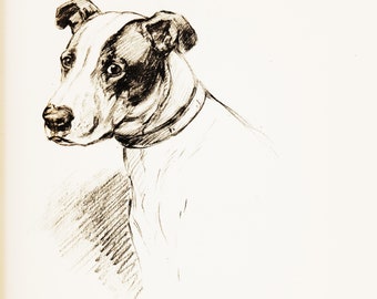 Dog Wall Art Bull Terrier Print for Vintage Wall Decor, 1933 KF Barker Dog Illustration for Dog Mom Gift (JD)
