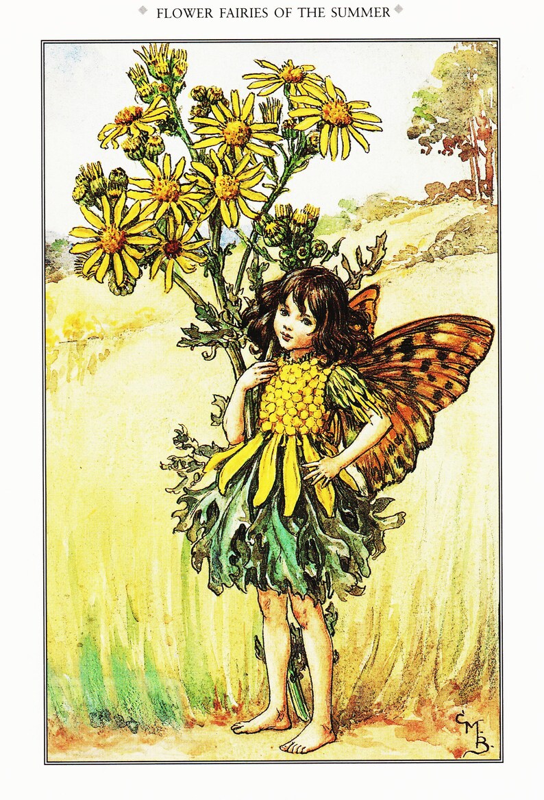 Flower Fairy Print ragwort Fairy Vintage Fairy Art Etsy