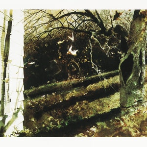 New England Art Andrew Wyeth Print of Country Scene &quot;Blowing Leaves&quot; Tree Print Realist Art Print Wyeth Wall Art for Country Decor (124)