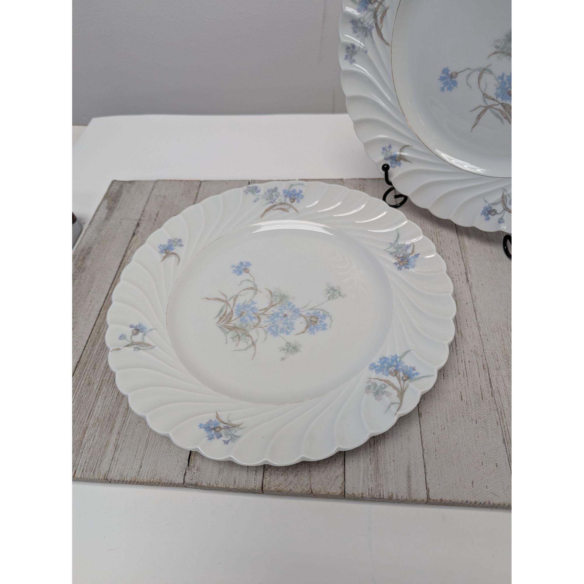 Haviland Limoges Bergere Set 2 Dinner Plates Vintage Blue Flowers